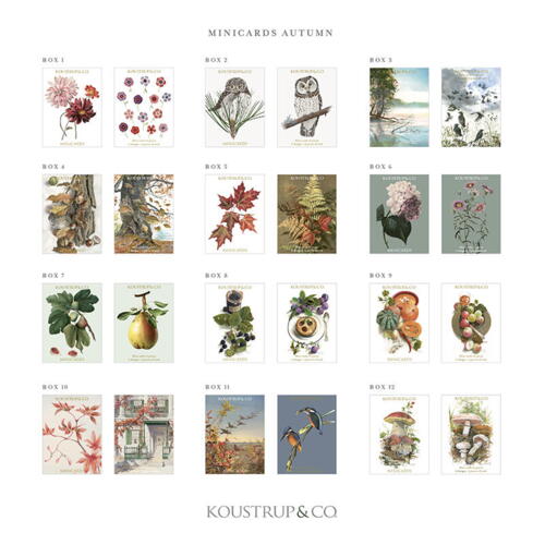 MINI CARDS - Autumn (NEW DESIGNS) -  FOR PRE-ORDER (arriving in mid-September)