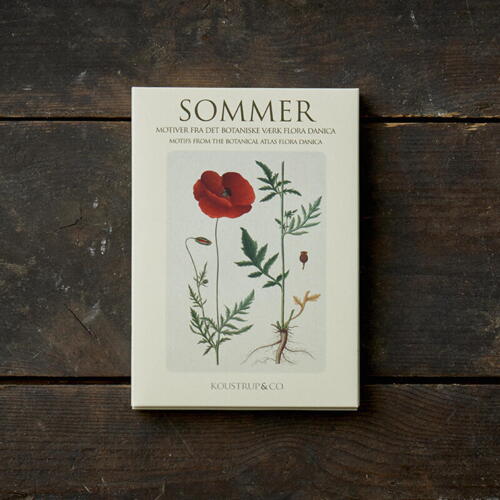 SOMMER - FD - 8 kort