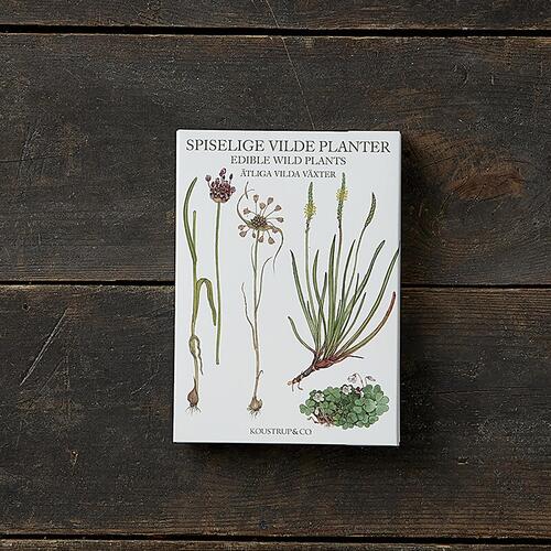 Ätbara vilda växter - 8 kort