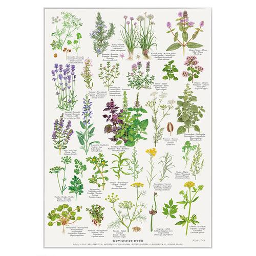 PRINT A4 - Spiced herbs - OUT OF STOCK