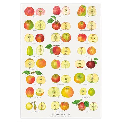 PRINT A4 - Apples (SMAGFUGLE ÆBLER)