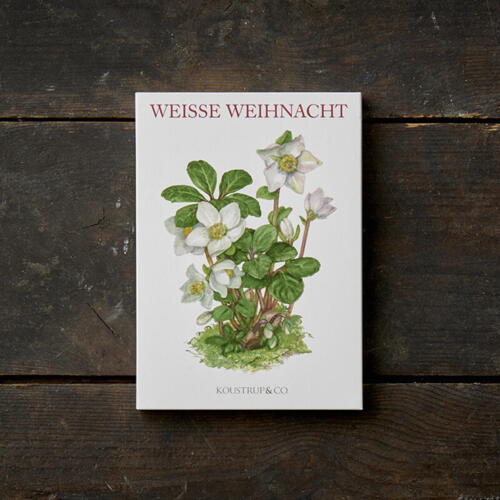 WEISSE WEIHNACHT - 8 cartes (allemand)