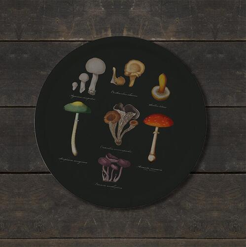 TRAY Ø38 - Mushrooms - OUT OF STOCK