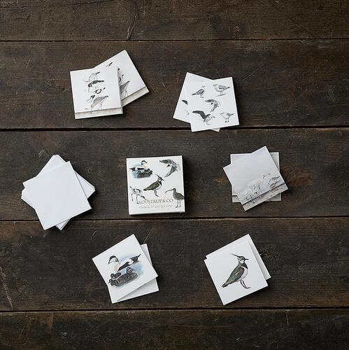 SQUARE MINI CARDS - Coastal birds - 8.5 x 8.5 cm