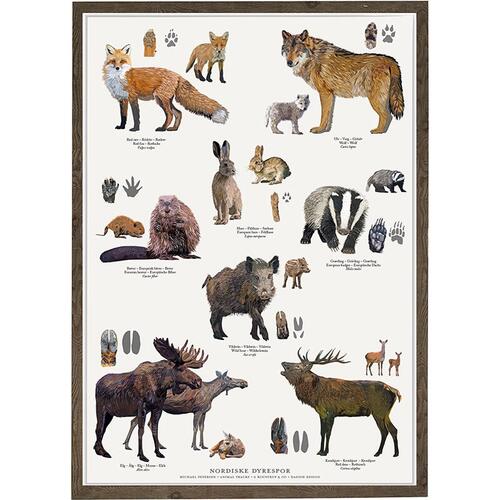 NORDIC ANIMAL TRACKS - Poster A2