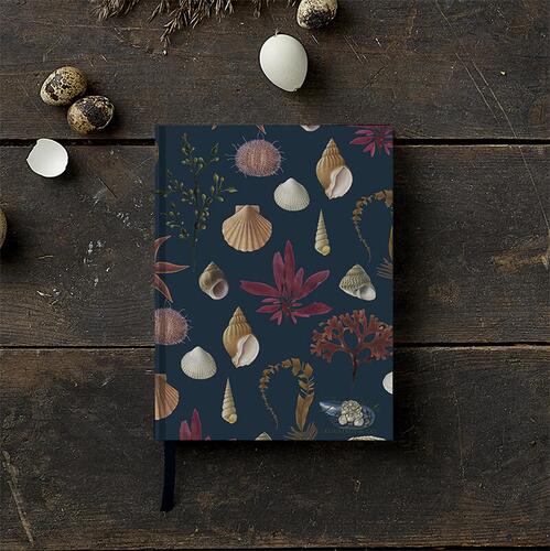 Sketch book with beach shells