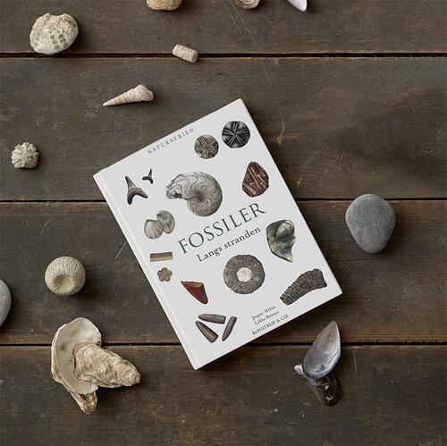 BOOK: Fossils (danish text)