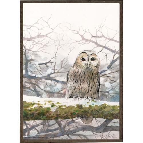 Tawny owl - ART PRINT - CHOOSE SIZE