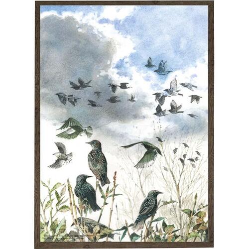 Starlings - ART PRINT - CHOOSE SIZE