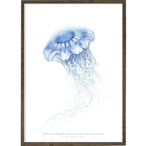 Blue jellyfish - ART PRINT - CHOISISSEZ LA TAILLE