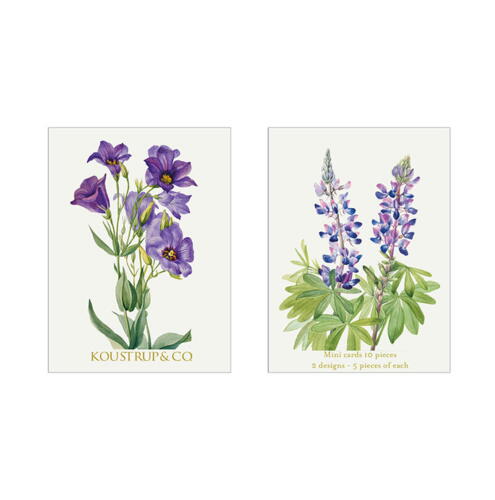 MINICARDS SUMMER - Lupin - OUT OF STOCK