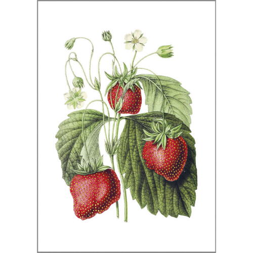 Jordbær - A5 enkeltkort