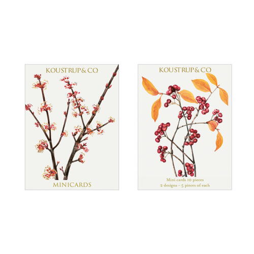 Minicards Flowering winter