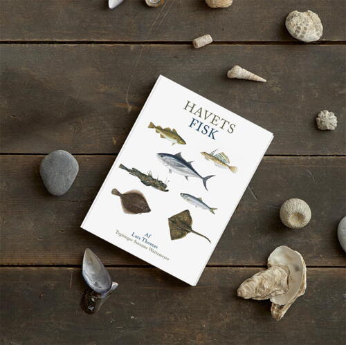 BOK: Havets fisk (dansk text)