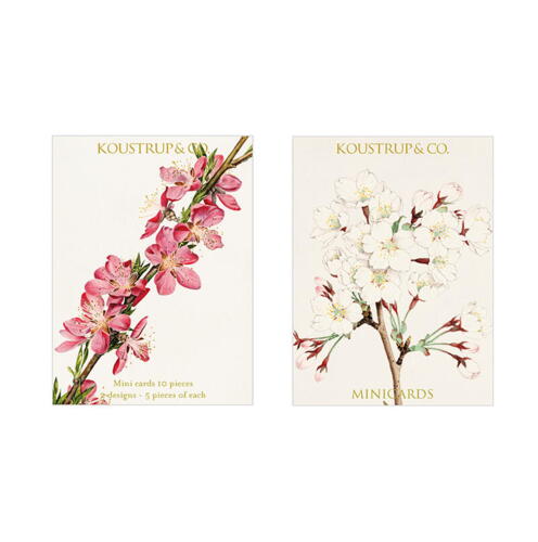 Minikort forår Blossom