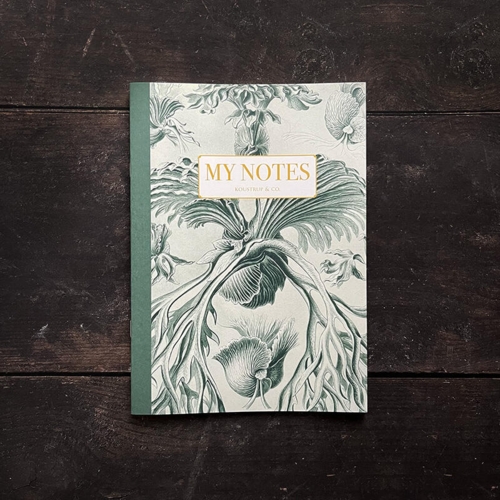 Muistivihko - Haeckel 1