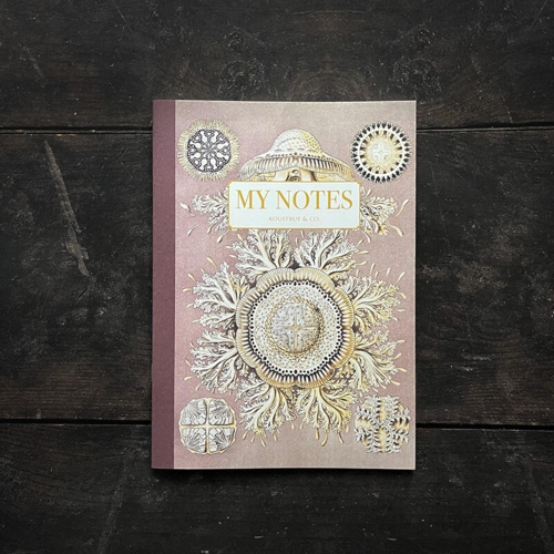 Noteshæfte - Haeckel 2