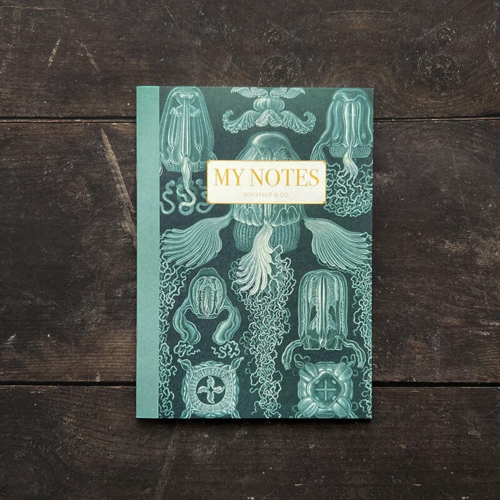 Noteshæfte - Haeckel 3 - UDSOLGT