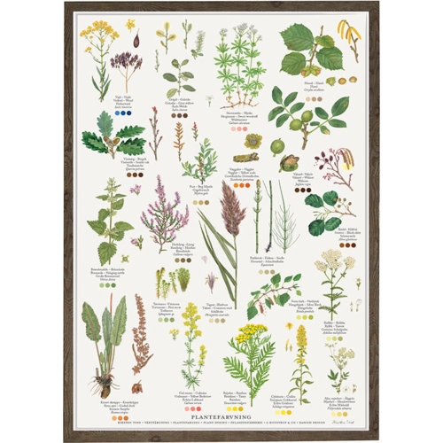 PLANT DYEING - Poster A2 - PRE-ORDER (Arrives 1 February 2026)