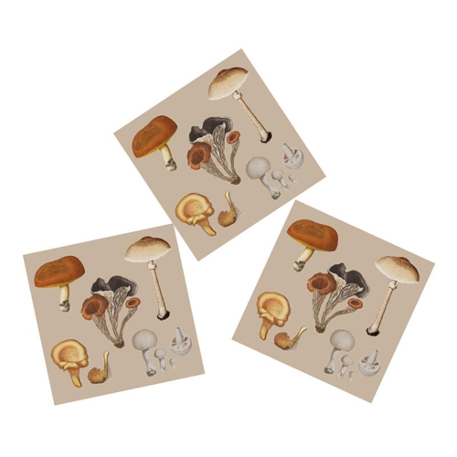 SERVIETTER - FD Mushrooms - TIL FORUDBESTILLING (Kommer 15. marts 2026)