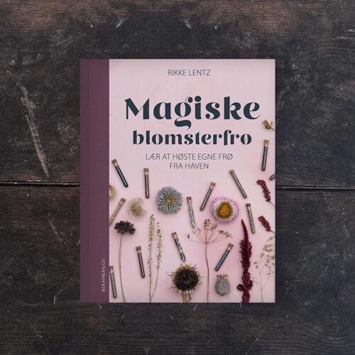 Magical Flower Seeds - PRE-ORDER (Released June 2026)