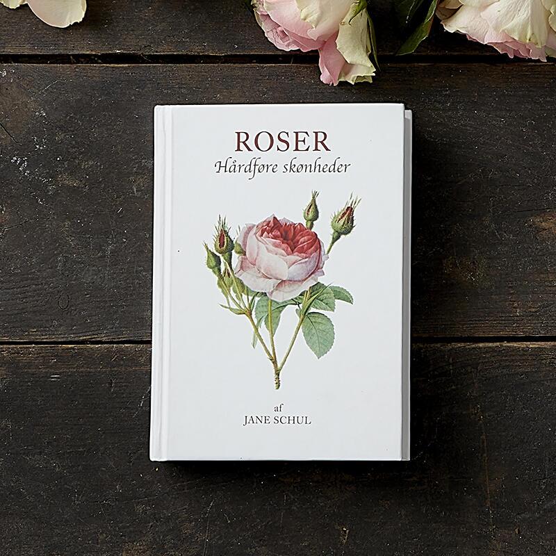 Roses | Book about fragrance, beauty and great varieties
