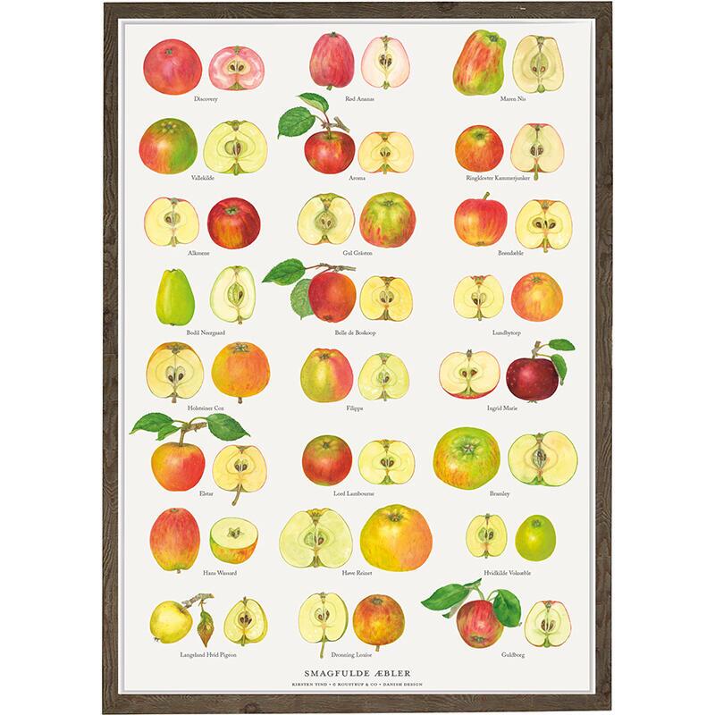 TASTY APPLES - Poster A2