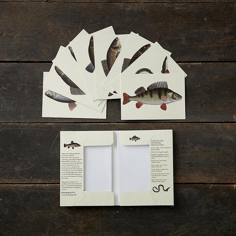 FRESHWATER FISH - 8 cards