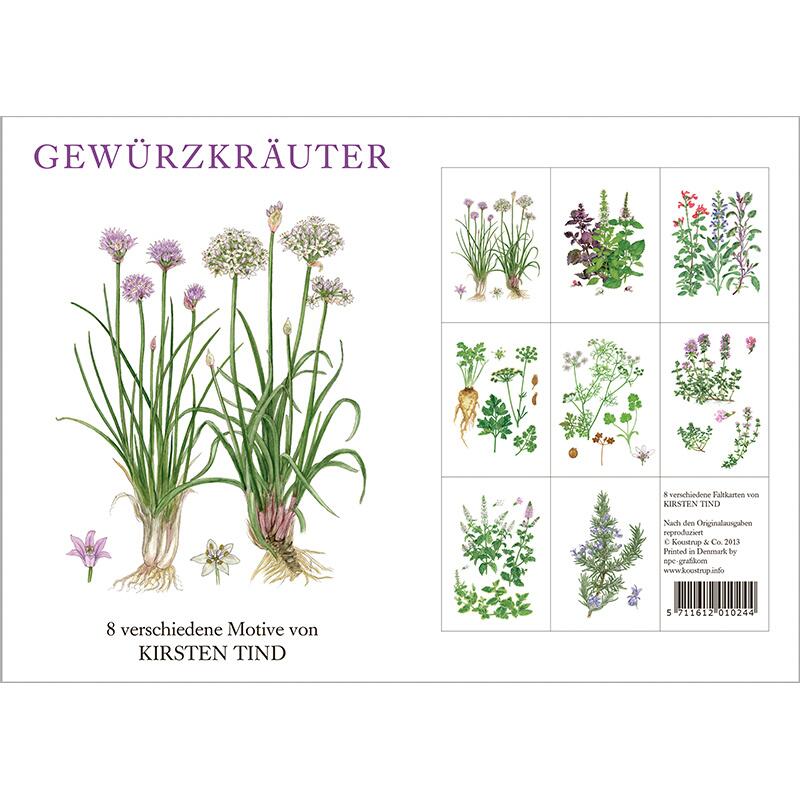 GEWÜRZKRÄUTER - 8 kort (tyska)