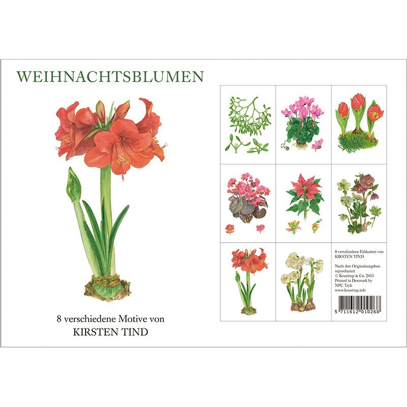 WEIHNACHTSBLUMEN - 8 kort (tyska)