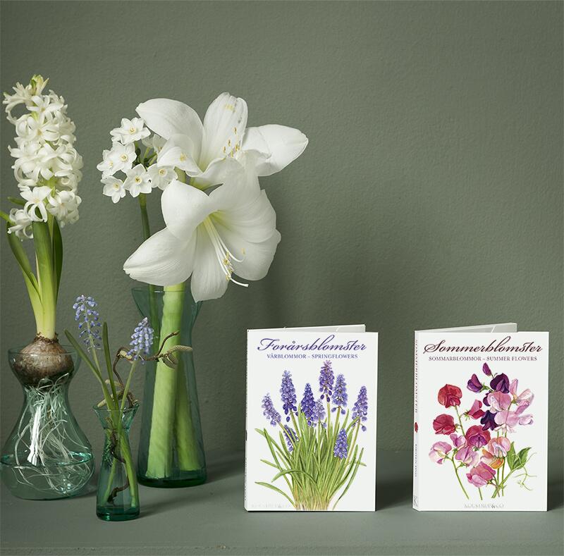 SUMMER FLOWERS - 8 cards - OUT OF STOCK