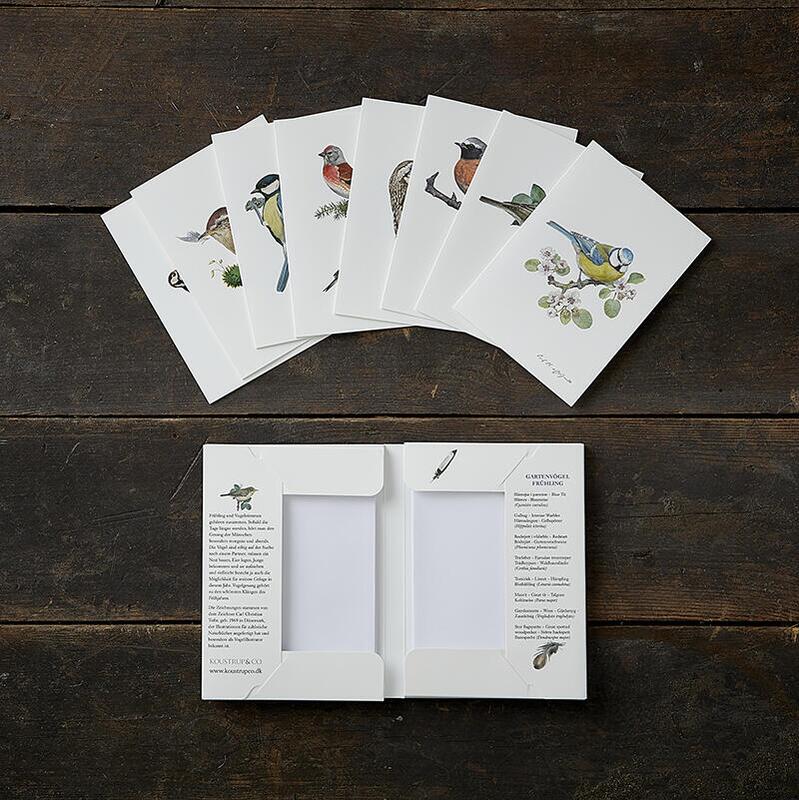 GARDEN BIRDS SPRING - 8 cards (german)
