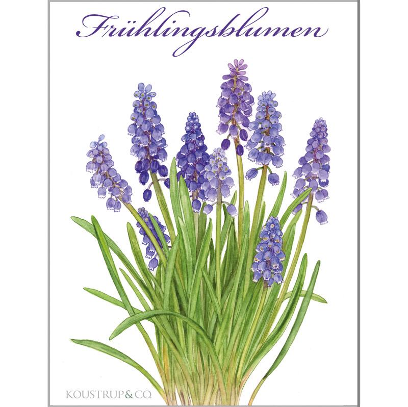 FRÜHLINGSBLUMEN - 8 cards (german) - out of stock