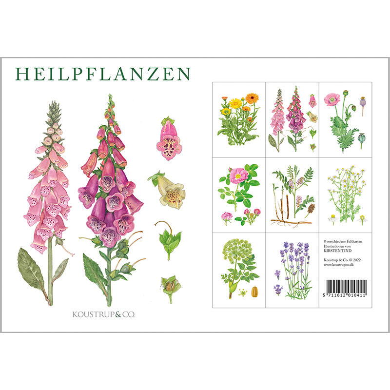 HEILPFLANZEN - 8 cartes (allemand)