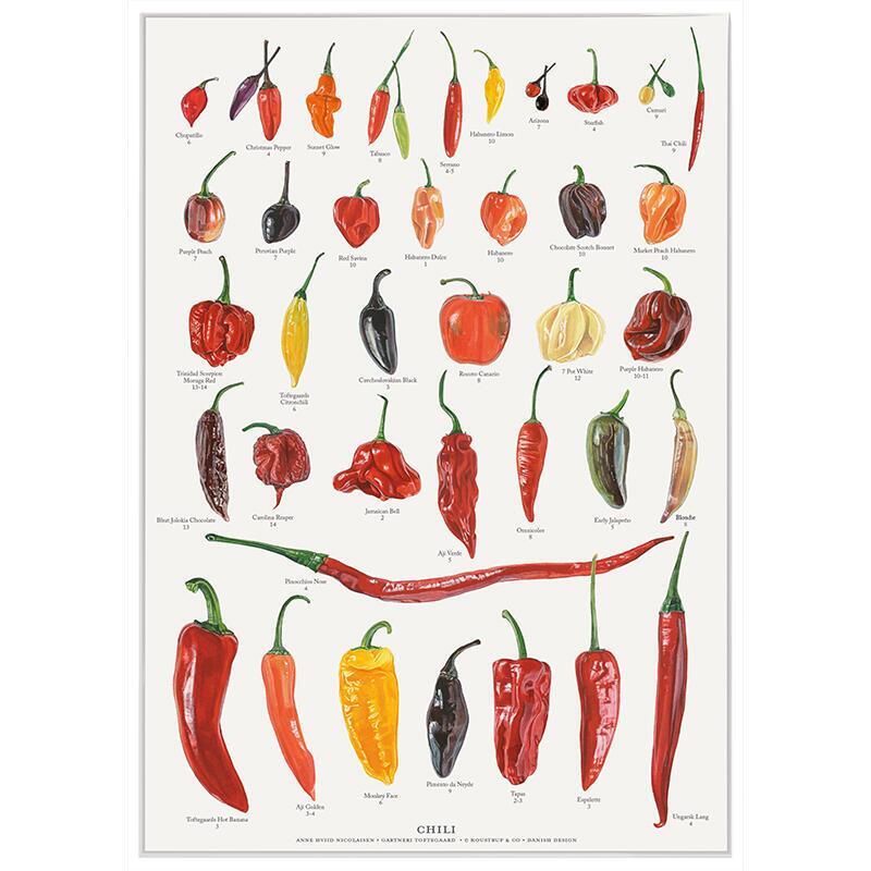 CHILI - Poster A2 - OUT OF STOCK