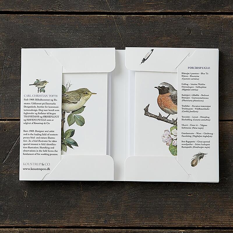 GARDEN BIRDS SPRING - 8 cards