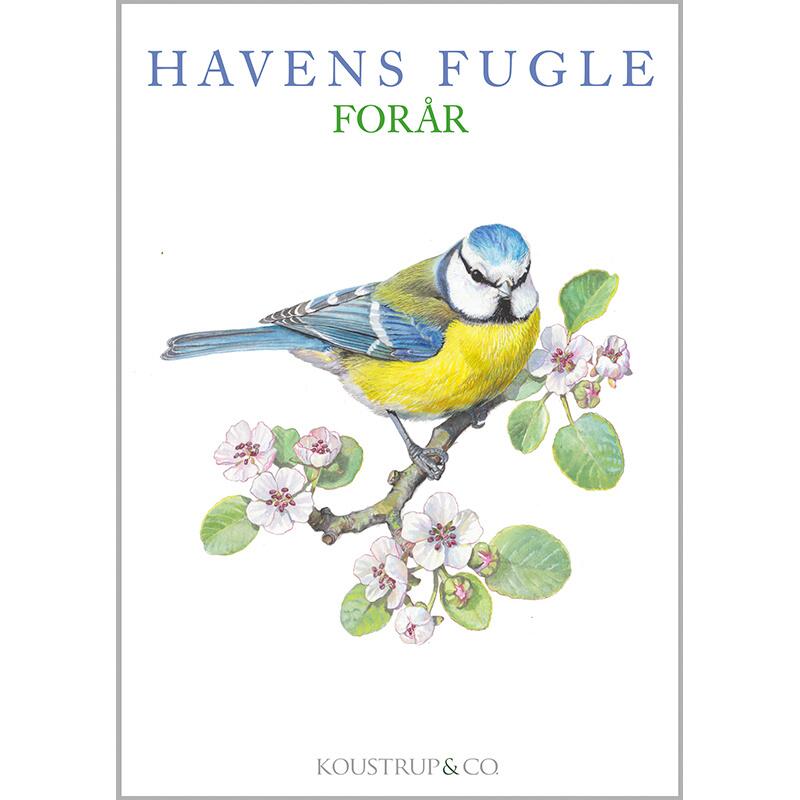 HAVENS FUGLE FORÅR - 8 kort