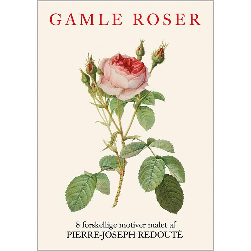 GAMLE ROSER - 8 kort