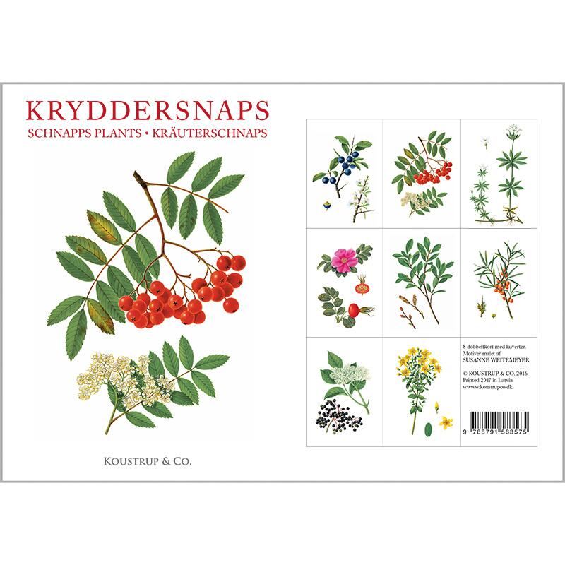 HERBS FOR SCHNAPS - 8 cards