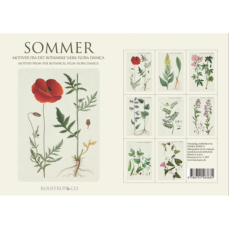 SOMMER - FD - 8 Karten