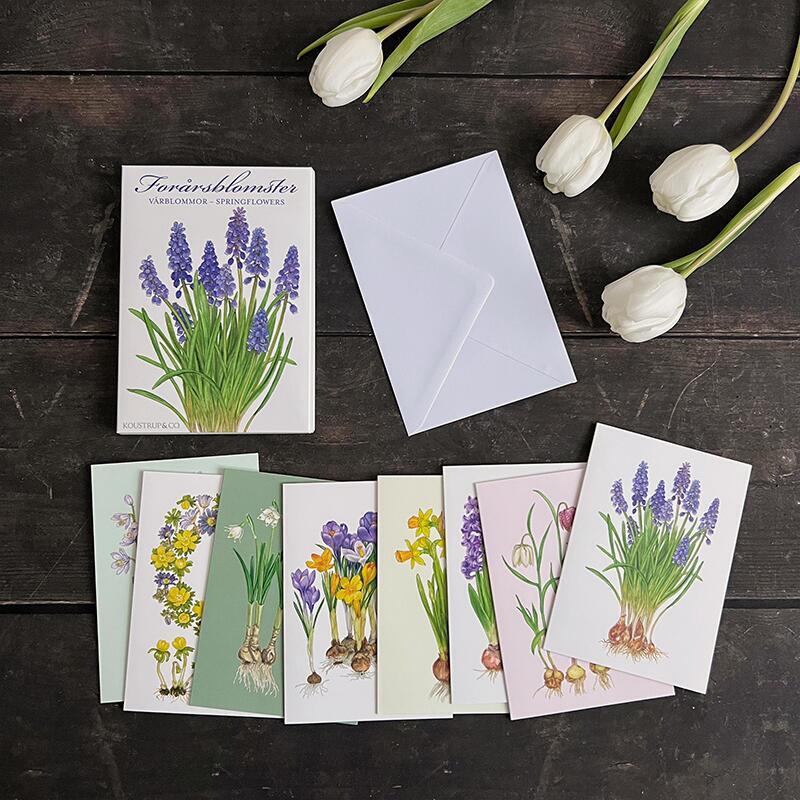 VÅRSBLOMMOR - 8 KORT