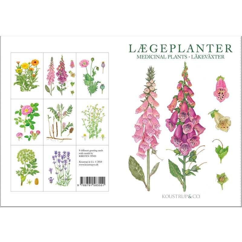 MEDICINAL PLANTS - 8 cards