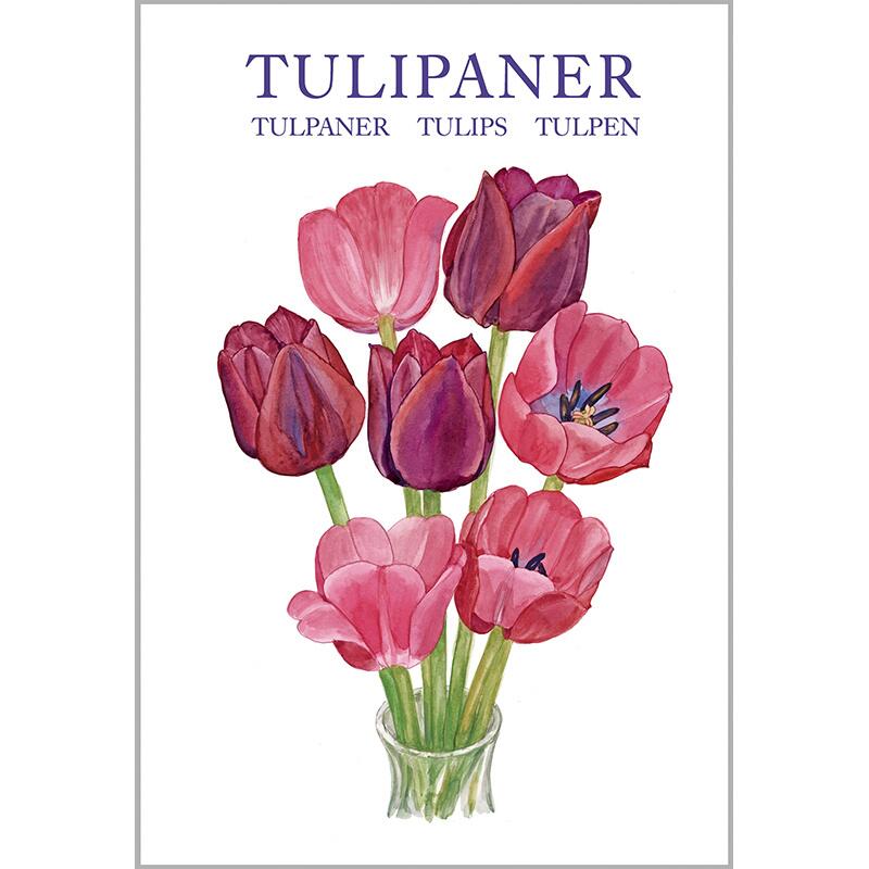 TULIPANER - 8 kort
