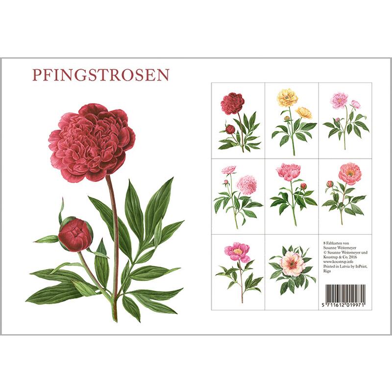 PFINGSTROSEN - 8 kort (tyska)