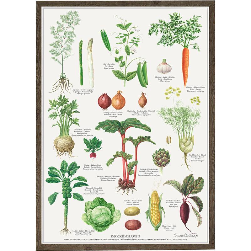 grøntsagshave, plakat med grøntsager