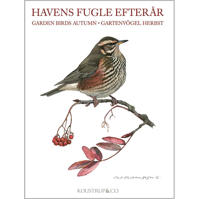 HAVENS FUGLE EFTERÅR - 8 kort