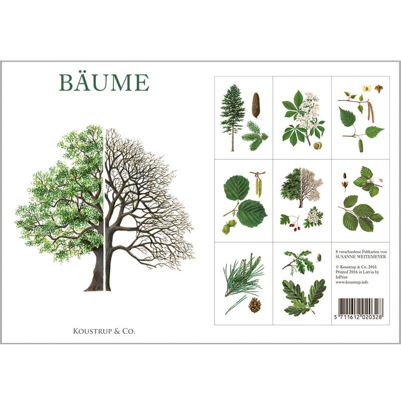 BÄUME - 8 cartes (allemand)