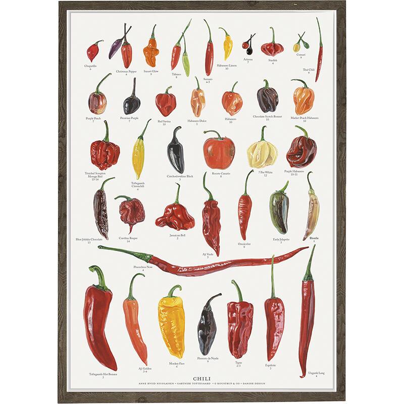 PRINT A4 - Chili - OUT OF STOCK