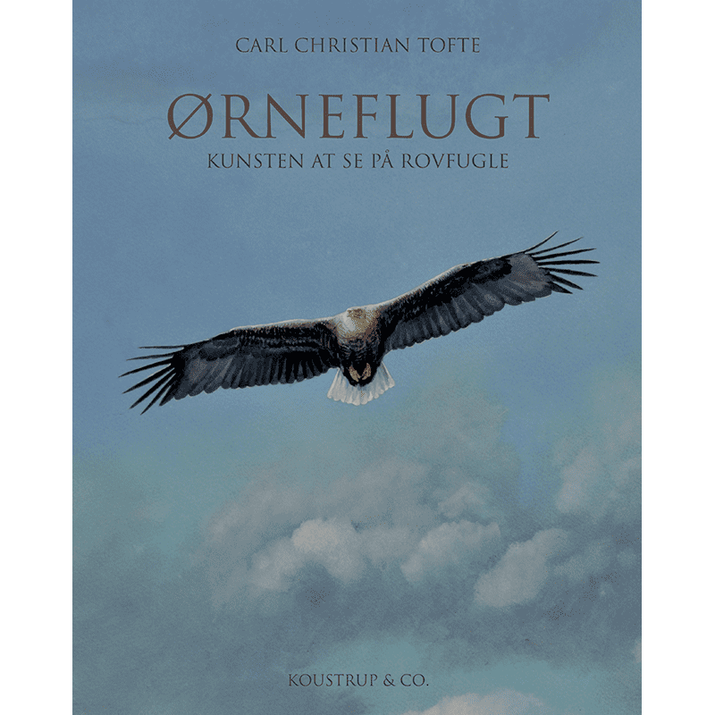 BOOK: EAGLE FLIGHT - Konsten att titta på rovfåglar