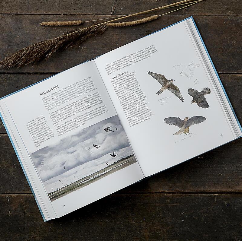 BOOK: ØRNEFLUGT - Kunsten at se på rovfugle